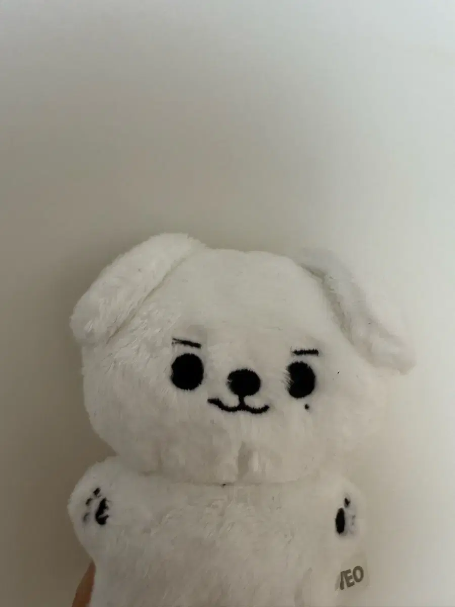 더보이즈 에릭 인형 에띠 팔아요